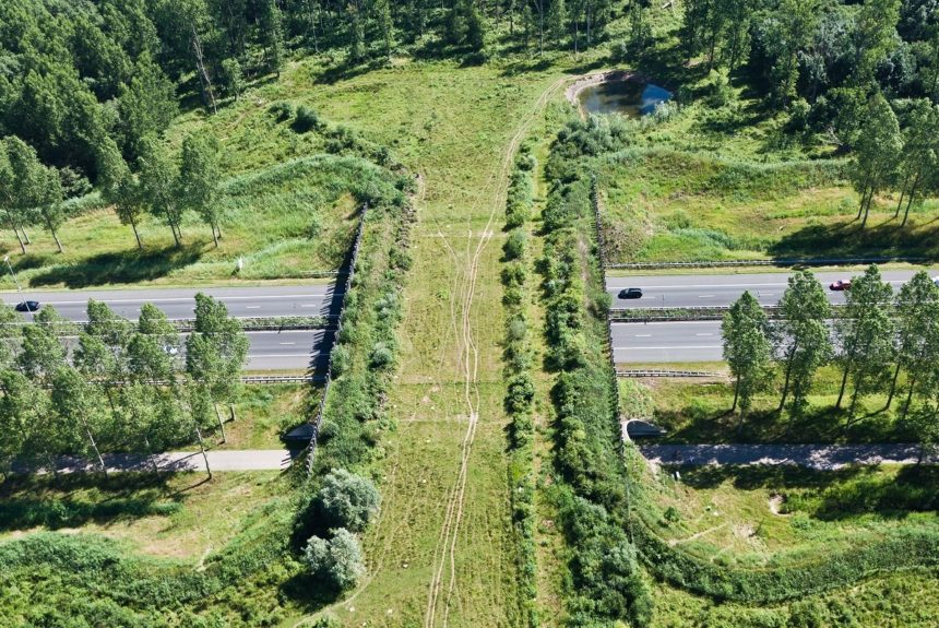 На трассе М1 «Беларусь» построят экодук На трассе М1 «Беларусь» построят экодук